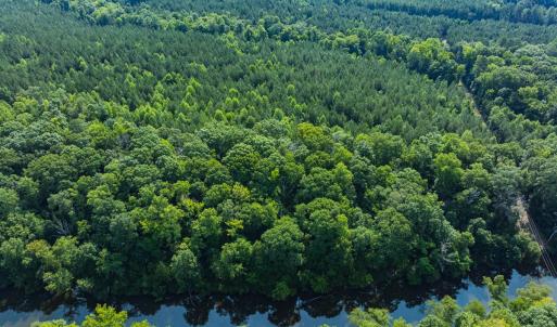 Photo #36 of Off of Cassam Road, Bahama, NC 21.7 acres