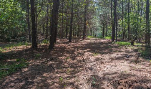 Photo #44 of Off of Cassam Road, Bahama, NC 21.7 acres