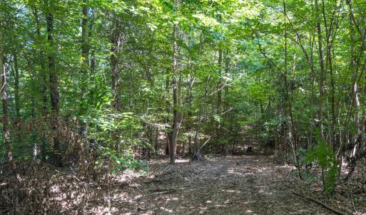 Photo #46 of Off of Cassam Road, Bahama, NC 21.7 acres