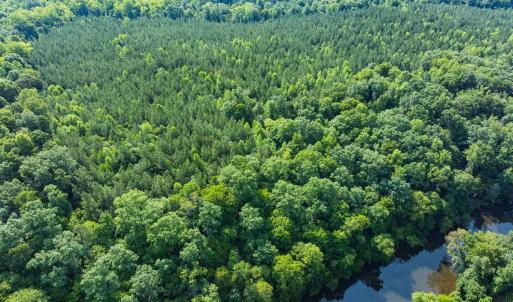 Photo #1 of Off of Cassam Road, Bahama, NC 32.7 acres