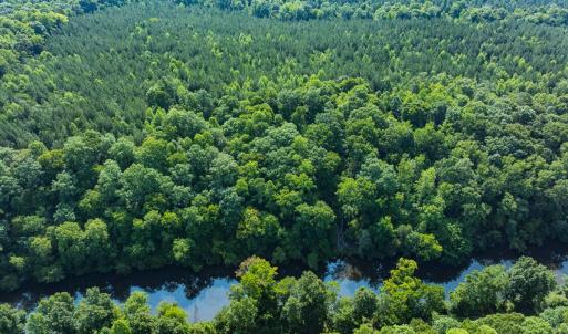 Photo #4 of Off of Cassam Road, Bahama, NC 32.7 acres
