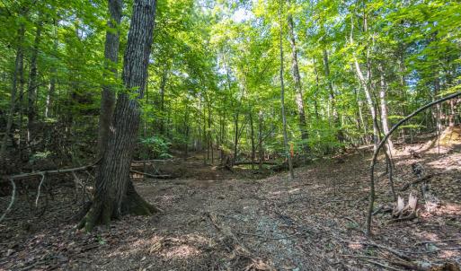 Photo #14 of Off of Cassam Road, Bahama, NC 32.7 acres