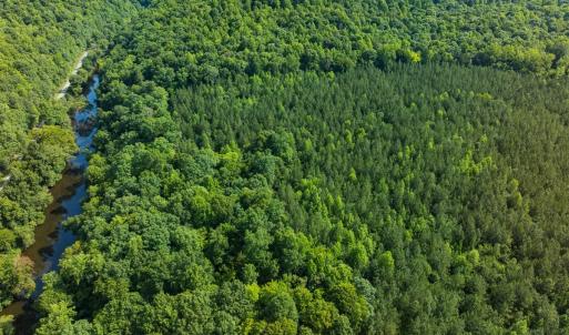 Photo #15 of Off of Cassam Road, Bahama, NC 32.7 acres
