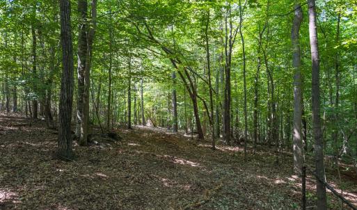 Photo #19 of Off of Cassam Road, Bahama, NC 32.7 acres