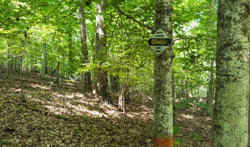 Photo #20 of Off of Cassam Road, Bahama, NC 32.7 acres