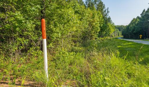 Photo #24 of Off of Cassam Road, Bahama, NC 32.7 acres