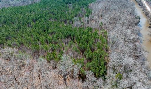 Photo #26 of Off of Cassam Road, Bahama, NC 32.7 acres