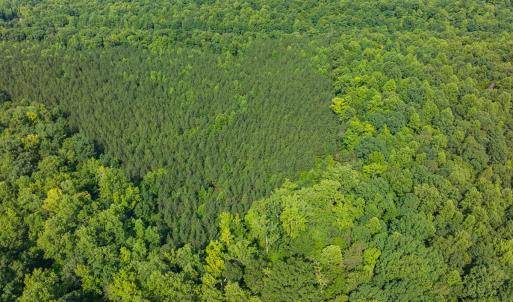 Photo #35 of Off of Cassam Road, Bahama, NC 32.7 acres