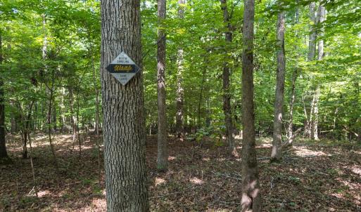 Photo #39 of Off of Cassam Road, Bahama, NC 32.7 acres