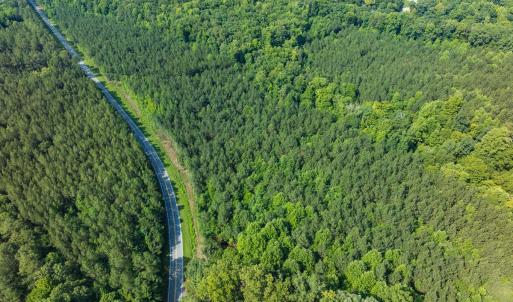 Photo #7 of Off of Cassam Road, Bahama, NC 54.4 acres