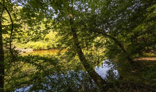 Photo #11 of Off of Cassam Road, Bahama, NC 54.4 acres