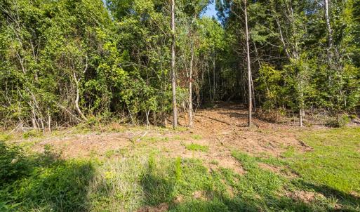 Photo #27 of Off of Cassam Road, Bahama, NC 54.4 acres