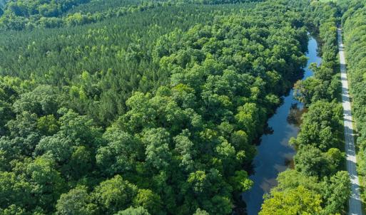 Photo #33 of Off of Cassam Road, Bahama, NC 54.4 acres