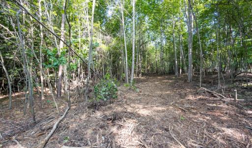 Photo #43 of Off of Cassam Road, Bahama, NC 54.4 acres