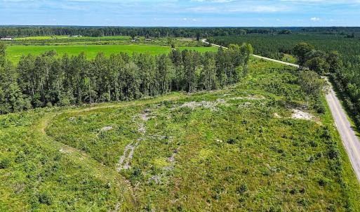 Photo #13 of Off of Hollybush Road, Dendron, VA 19.2 acres