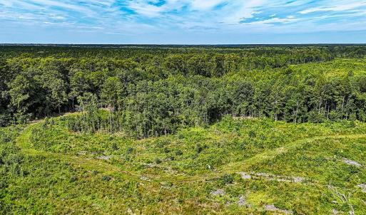 Photo #14 of Off of Hollybush Road, Dendron, VA 19.2 acres