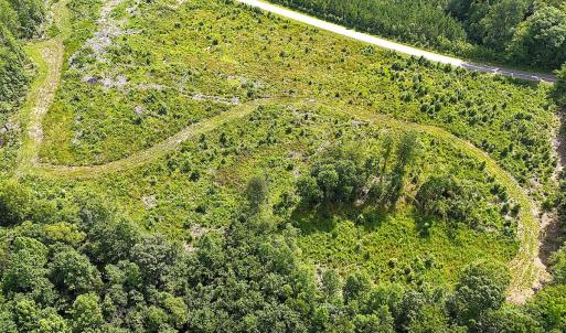 Photo #15 of Off of Hollybush Road, Dendron, VA 19.2 acres
