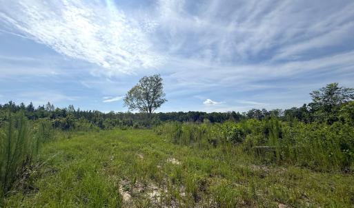 Photo #17 of Off of Hollybush Road, Dendron, VA 19.2 acres