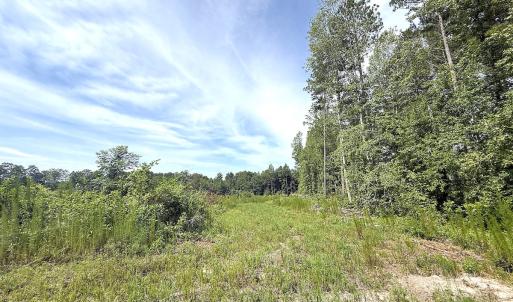 Photo #18 of Off of Hollybush Road, Dendron, VA 19.2 acres