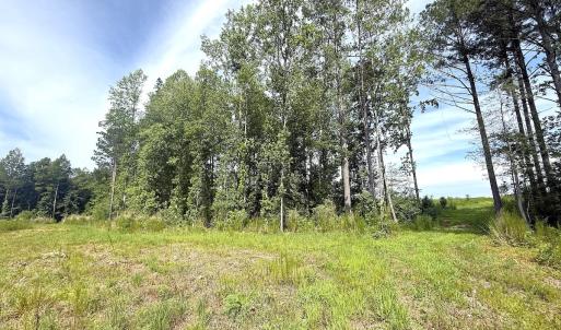 Photo #19 of Off of Hollybush Road, Dendron, VA 19.2 acres