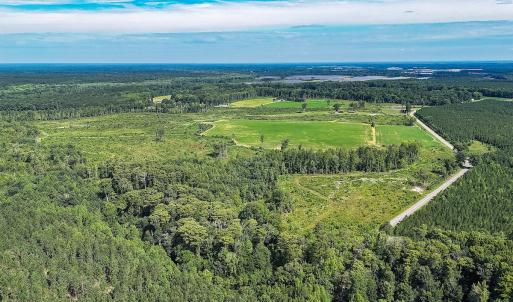 Photo #1 of Off of Hollybush Road, Dendron, VA 19.2 acres