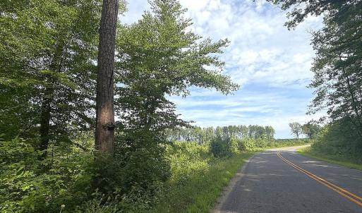 Photo #3 of Off of Hollybush Road, Dendron, VA 19.2 acres