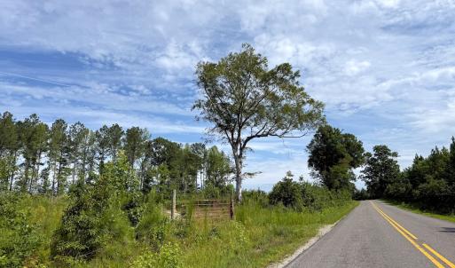 Photo #4 of Off of Hollybush Road, Dendron, VA 19.2 acres