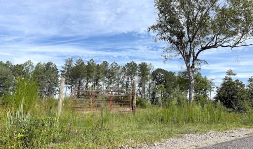 Photo #5 of Off of Hollybush Road, Dendron, VA 19.2 acres