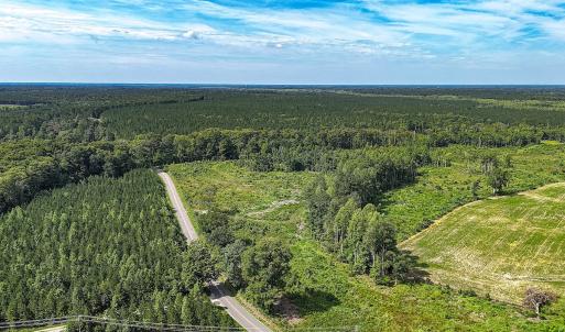 Photo #6 of Off of Hollybush Road, Dendron, VA 19.2 acres