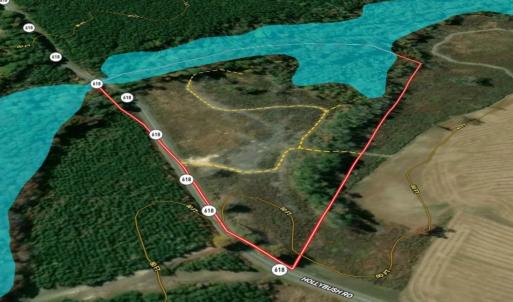 Photo #7 of Off of Hollybush Road, Dendron, VA 19.2 acres