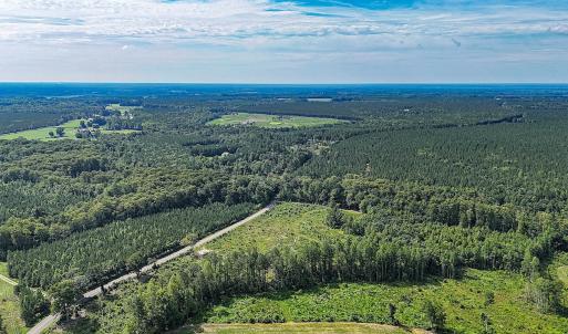 Photo #8 of Off of Hollybush Road, Dendron, VA 19.2 acres