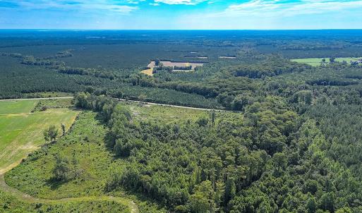 Photo #9 of Off of Hollybush Road, Dendron, VA 19.2 acres