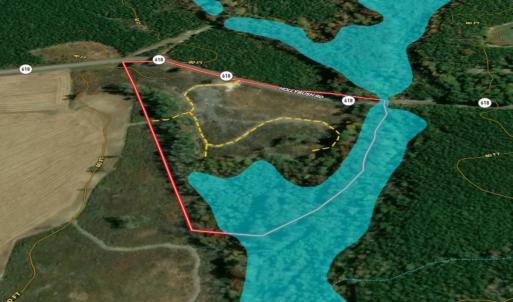 Photo #10 of Off of Hollybush Road, Dendron, VA 19.2 acres