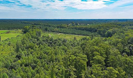 Photo #11 of Off of Hollybush Road, Dendron, VA 19.2 acres