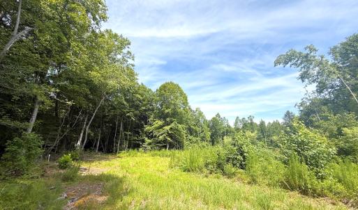 Photo #22 of Off of Hollybush Road, Dendron, VA 19.2 acres