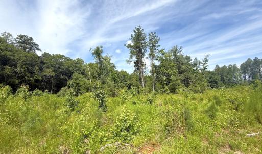 Photo #25 of Off of Hollybush Road, Dendron, VA 19.2 acres