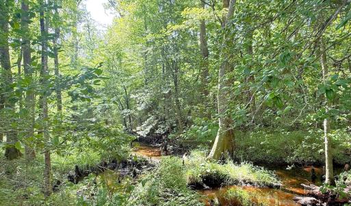 Photo #28 of Off of Hollybush Road, Dendron, VA 19.2 acres