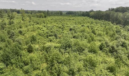 Photo #15 of 15 Rainbow Road, Off Hwy 561, Scotland Neck, NC 14.2 acres