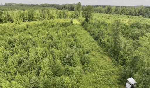 Photo #17 of 15 Rainbow Road, Off Hwy 561, Scotland Neck, NC 14.2 acres