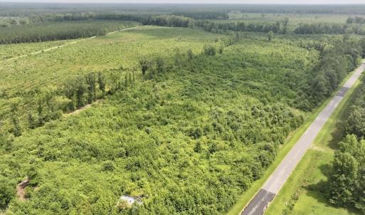 Photo #2 of 15 Rainbow Road, Off Hwy 561, Scotland Neck, NC 14.2 acres