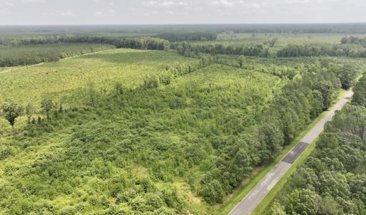 Photo #3 of 15 Rainbow Road, Off Hwy 561, Scotland Neck, NC 14.2 acres