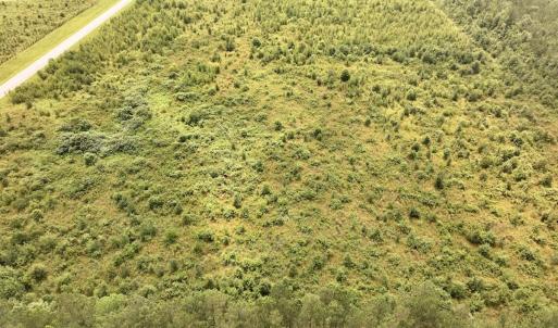 Photo #11 of Off of Hwy 561, Halifax, NC 24.5 acres