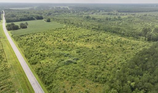 Photo #12 of Off of Hwy 561, Halifax, NC 24.5 acres