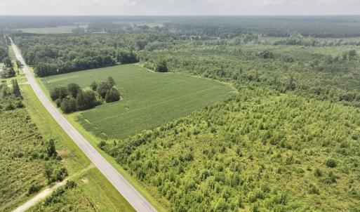 Photo #14 of Off of Hwy 561, Halifax, NC 24.5 acres