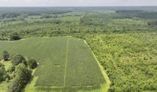 Photo #15 of Off of Hwy 561, Halifax, NC 24.5 acres
