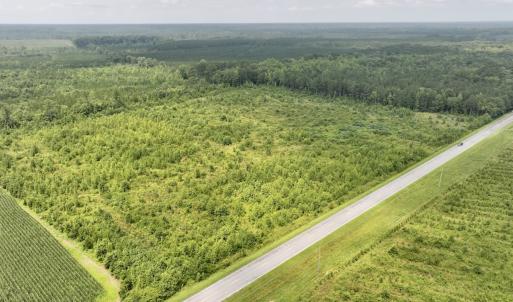 Photo #16 of Off of Hwy 561, Halifax, NC 24.5 acres