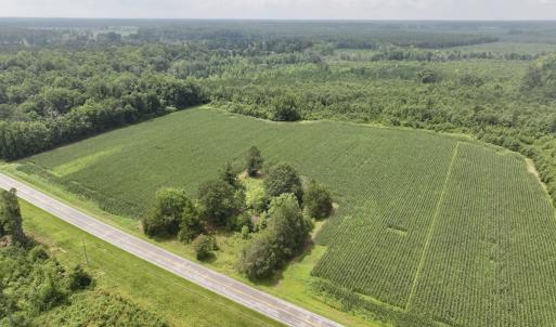 Photo #17 of Off of Hwy 561, Halifax, NC 24.5 acres