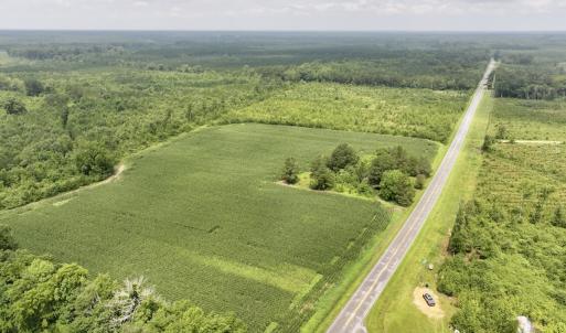 Photo #1 of Off of Hwy 561, Halifax, NC 24.5 acres