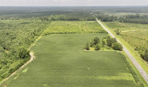 Photo #2 of Off of Hwy 561, Halifax, NC 24.5 acres