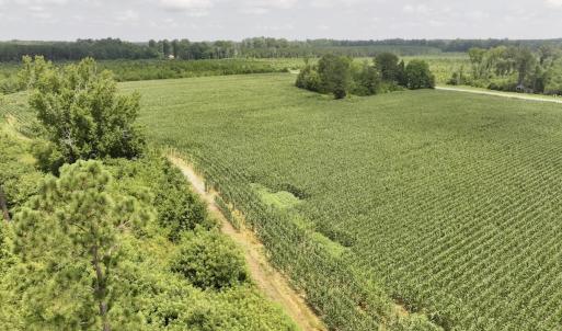 Photo #24 of Off of Hwy 561, Halifax, NC 24.5 acres
